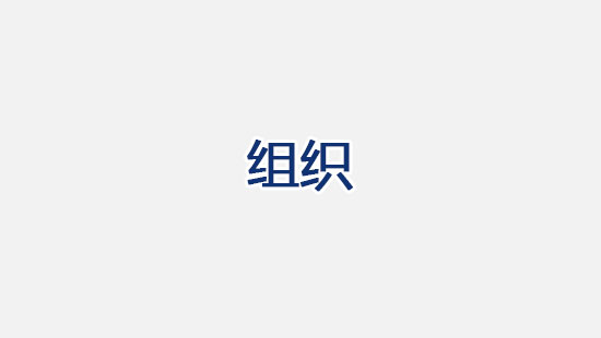 组织